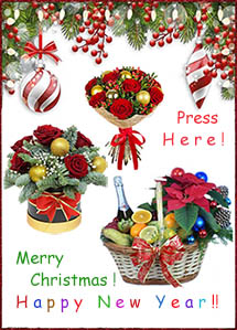 Christmas - New Year